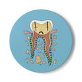 Cross Section Ceramic Coaster